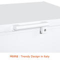 BE1-251 Chest Freezer with LED Light